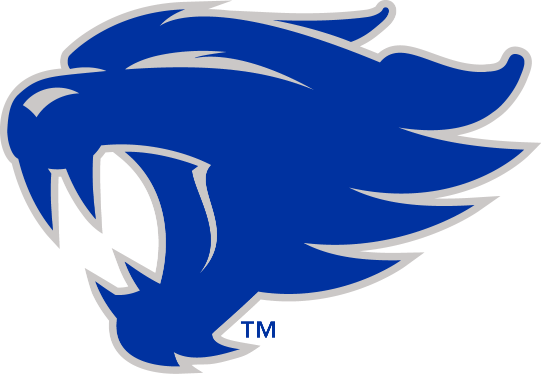 Kentucky Wildcats 2016-Pres Alternate Logo t shirts DIY iron ons